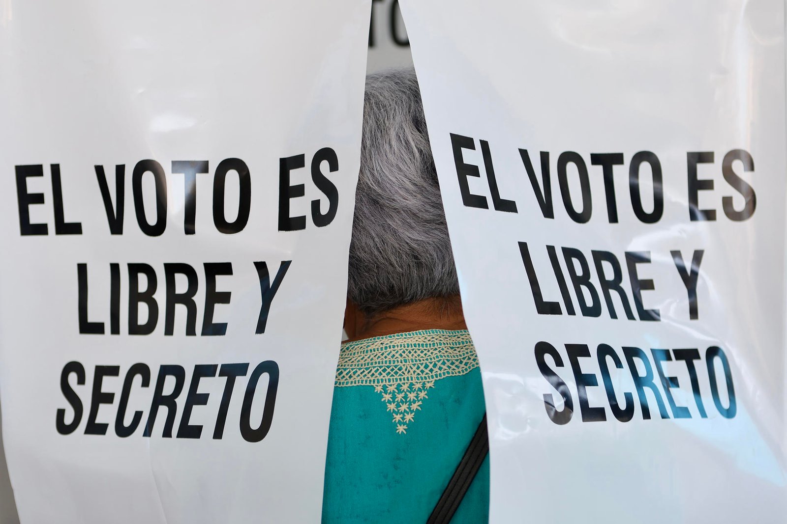 BMA e instituciones piden que Reforma Electoral cumpla estándares internacionales